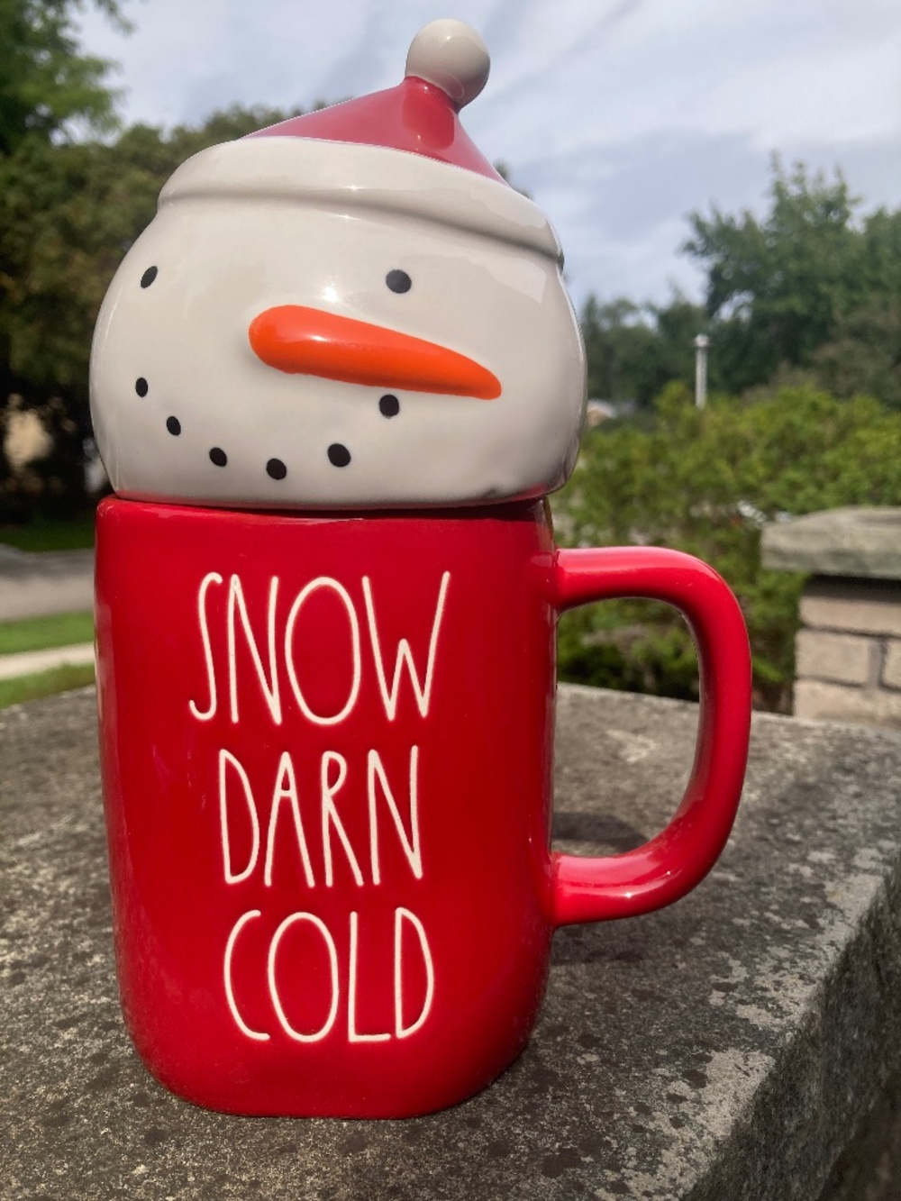 Rae Dunn "Snow Darn Cold" Topper Mug ☃️